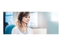 JABRA BIZ 2300 QD Duo - 1