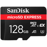 SANDISK Express microSD Card, 256GB - 1