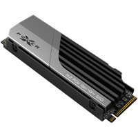 Silicon Power XS70 1TB SSD PCIe Gen 4x4 PCIe Gen4x4 &amp;amp;...