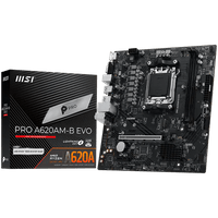 PRO_A620AM-B_EVO - 1