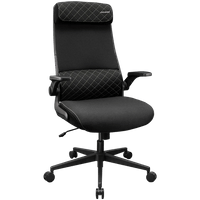 COUGAR Stryder Gaming Chair - 2
