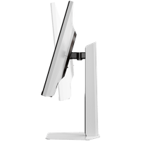 24.5" Flat IPS Dual LED 1920*1080@400Hz HAS,... - 2 24.5" Flat IPS Dual LED 1920*1080@400Hz HAS,... - 2