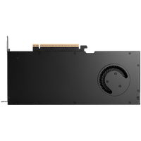 PNY NVIDIA RTX PRO 4000 Blackwell OEM Version,... - 2