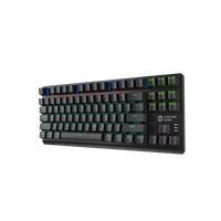 CANYON keyboard Striker SKB-2 TKL Rainbow US Wired Black - 5 CANYON keyboard Striker SKB-2 TKL Rainbow US Wired Black - 5