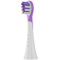 Wireless Tooth Brush, Violet, 3 Brush Heads, 600mAh,... - 6