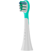 Wireless Tooth Brush, Mint, 3 Brush Heads, 600mAh,... - 6