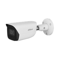 IP камерa Dahua IPC-HFW5241E-ASE-0360B-S3 - 2