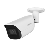 IP камерa Dahua IPC-HFW5541E-ASE-0280B-S3 - 1