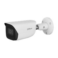 IP камерa Dahua IPC-HFW5541E-ASE-0360B-S3 - 2