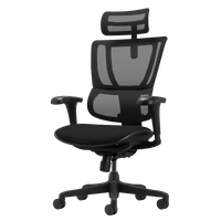 Ергономичен стол ERGOHUMAN IOO BUDGET 2 -... - 2