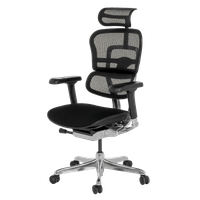 Ергономичен стол ERGOHUMAN ELITE 2 - черна... - 2