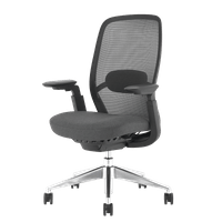 Ергономичен стол HORGEN - черен - 2