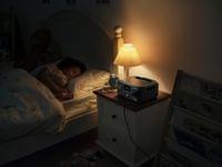 Ecoflow Преносима електростанция Portable... - 4