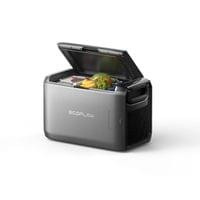 Ecoflow Преносим хладилник с фризер... - 9