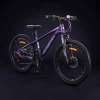 Велосипед със скорости alloy 24" Clasher - 12 Велосипед със скорости alloy 24" Clasher - 12