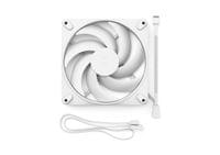 FD MOMENTUM 14 WHITE - 2