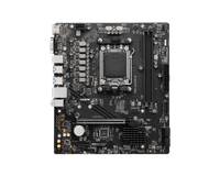 MSI PRO A620M-B - 2