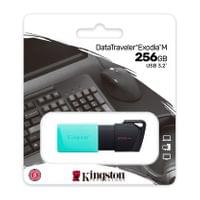 256GB USB3.2 DTXM KINGSTON - 1