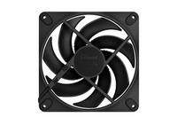 FD MOMENTUM 14 BLACK - 3