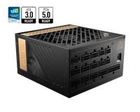 PSU MSI MEG AI1300P PCIE5 - 1