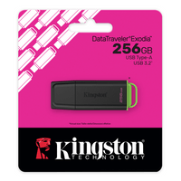 256GB USB3.2 DTXG2 KINGSTON - 3