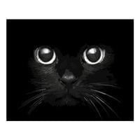 Foska Комплект рисуване по номера Котешки очи, 40 x 50 cm - 0