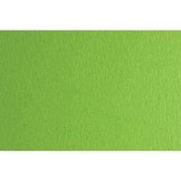 Fabriano Картон Colore, 50 x 70 cm, 140 g/m2, № 230, тревистозелен - 1