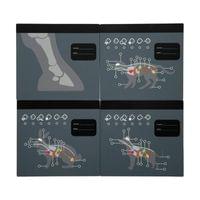 Small Foot Ветеринарна чанта, с медицинско оборудване и зайче - 9