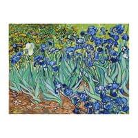 Foska Комплект рисуване по номера Ириси, 40 x 50 cm - 1