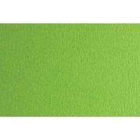 Fabriano Картон Colore, 70 x 100 cm, 140 g/m2, № 230, тревистозелен - 1