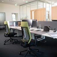 Eргономичен стол Interstuhl Joyce JC267, дамаска и меш, Synchronous... - 2