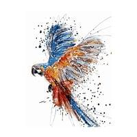 Foska Комплект рисуване по номера Папагал, 40 x 50 cm - 1