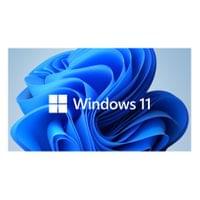 Windows 11 Pro 64 Bit, English, OEM, DVD - 1