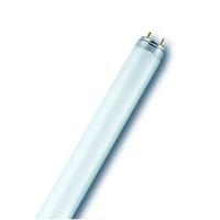 Osram Лампа G13, луминeсцентна, 36W, 60 cm - 1