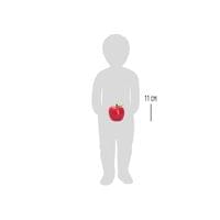 Small Foot Ябълка за подреждане - 6