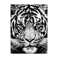Foska Комплект рисуване по номера Бял тигър, 40 x 50 cm - 1