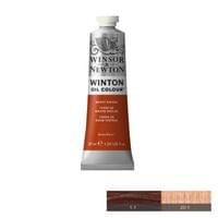 Winton Маслена боя, Burnt Sienna, 37 ml - 1 Winton Маслена боя, Burnt Sienna, 37 ml - 1
