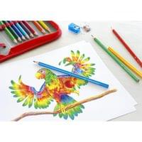 Faber-Castell Цветни моливи Triangular, 12 цвята - 2 Faber-Castell Цветни моливи Triangular, 12 цвята - 2