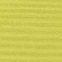 Fabriano Картон Elle Erre, 70 x 100 cm, 220 g/m2, № 125, кедър - 1