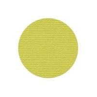 Fabriano Картон Elle Erre, 70 x 100 cm, 220 g/m2, № 125, кедър - 2