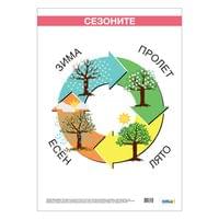 Ученическо табло ''Сезони'', ламинирано, 50 x 70 cm - 1 Ученическо табло ''Сезони'', ламинирано, 50 x 70 cm - 1