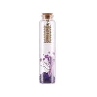 Шишенце с цвете Takk Elixir, стъклено, асорти - 2