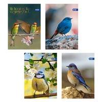 Тетрадка А5, мат/UV Birds, 60+2 л.ред, 70 г/м2 - 1