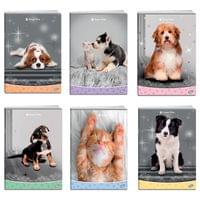 Тетрадка A5 UV Sweet Pets, 60+2 л.ред, 70 г/м2 - 1