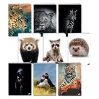 Тетрадка A5 UV Animals, 60+2 л.ред, 70 г/м2 - 1