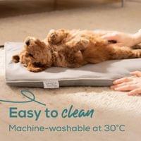 Beurer PP 210 Lilli Small heating mat for dogs and cats;... - 2