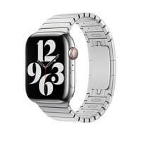 Apple 42mm Link Bracelet - 2