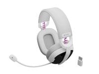 Fury Gaming Headset - 2