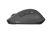 Natec Mouse Kite Wireless 4000DPI Optical... - 3 Natec Mouse Kite Wireless 4000DPI Optical... - 3