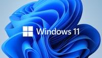 Microsoft Windows 11 Pro GGK 64Bit Eng Intl 1pk DSP ORT...